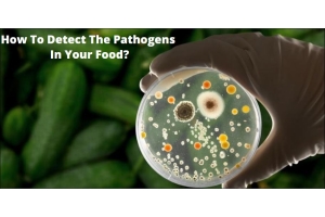 How To Detect The Pathogens In Your Food?