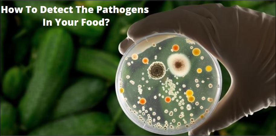 How To Detect The Pathogens In Your Food?